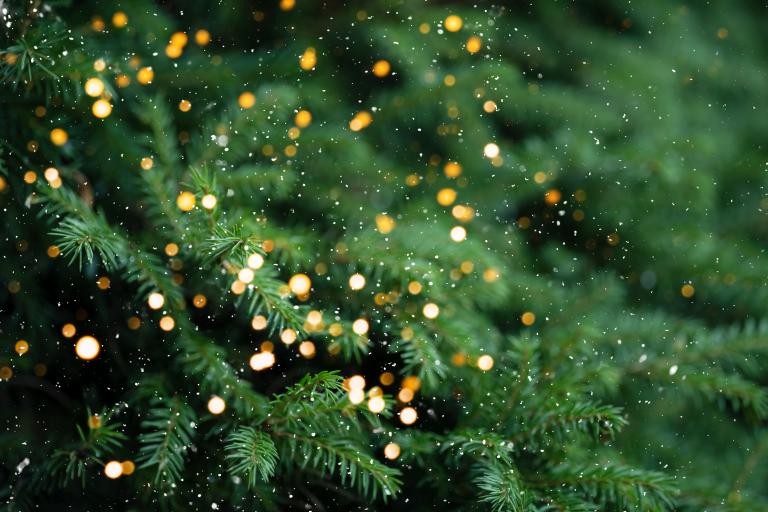Christmas at  Lowther Pavilion Gardens